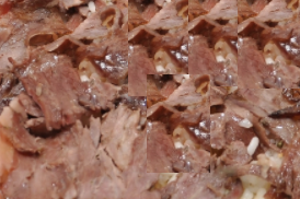 Et Döner 100gr İskender